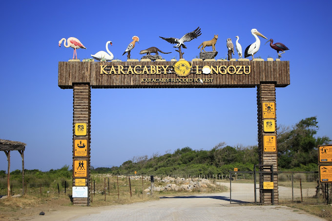 Karacabey 4 kapı